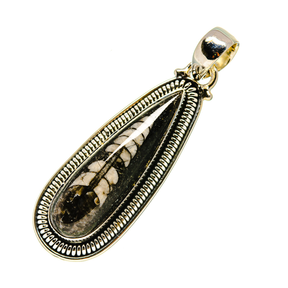 Orthoceras Fossil Pendants handcrafted by Anasilvercos - PD754472