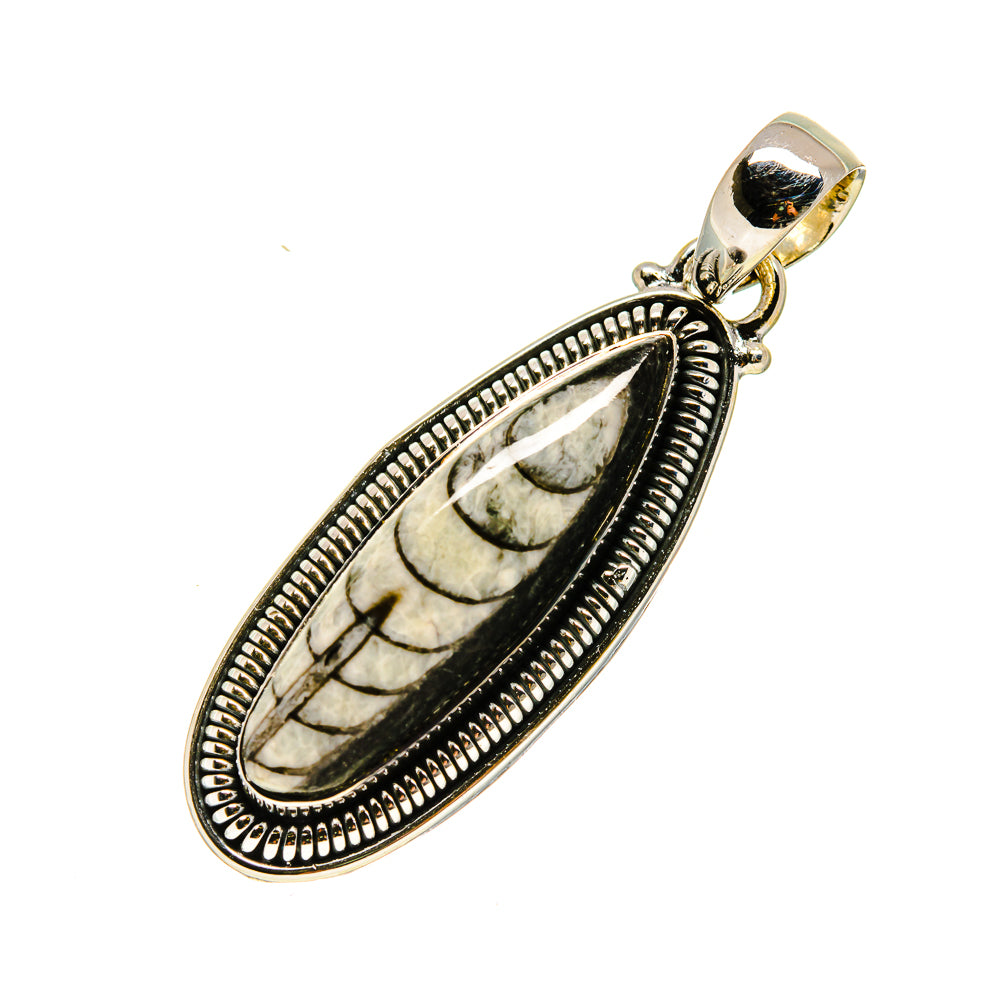 Orthoceras Fossil Pendants handcrafted by Anasilvercos - PD754486