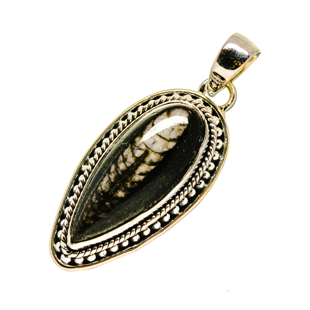 Orthoceras Fossil Pendants handcrafted by Anasilvercos - PD755170
