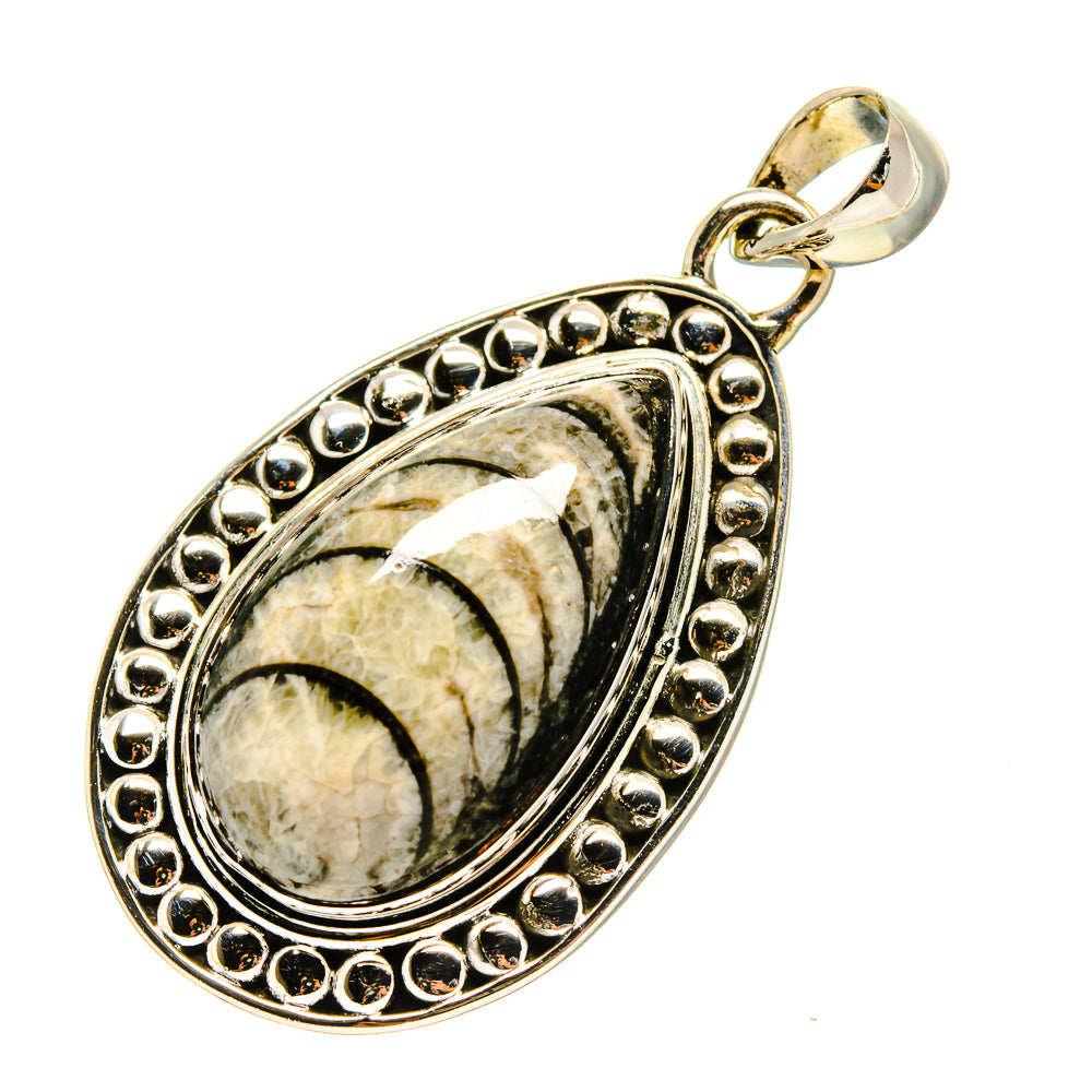 Orthoceras Fossil Pendants handcrafted by Anasilvercos - PD755191