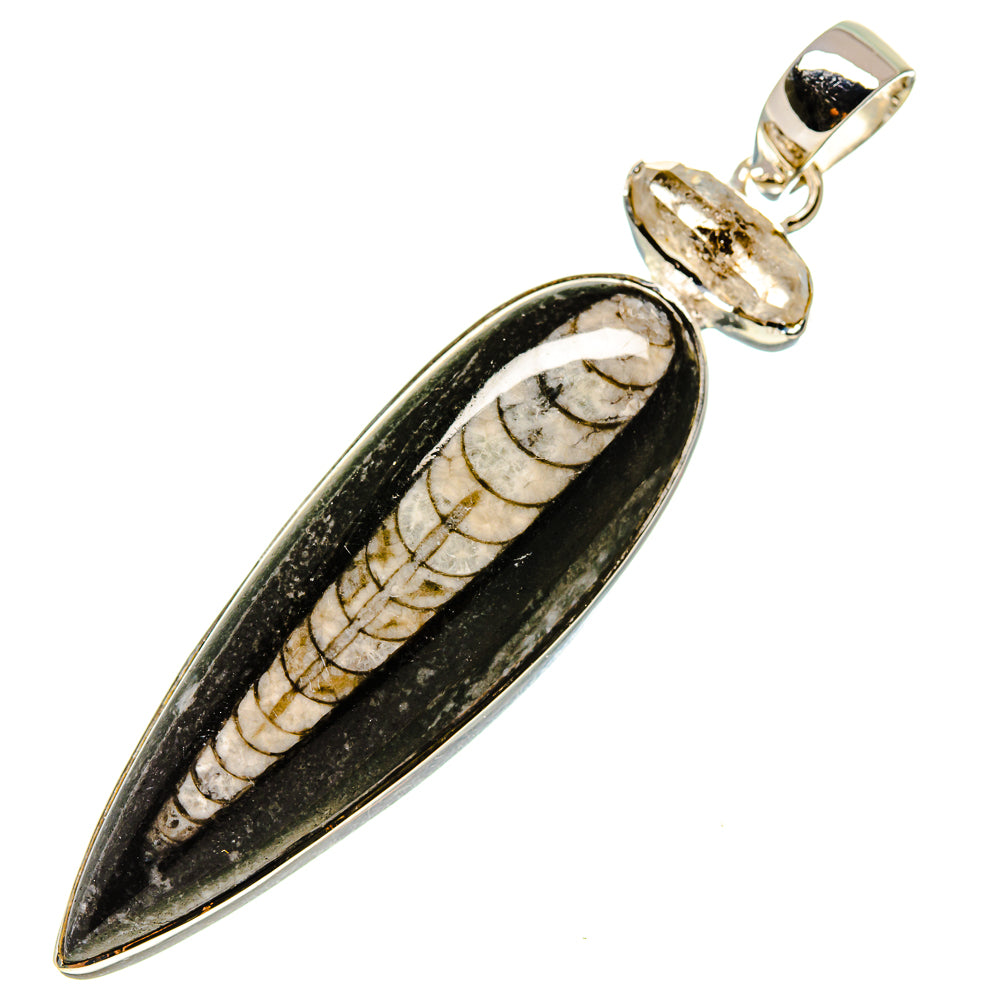Orthoceras Fossil Pendants handcrafted by Anasilvercos - PD755328