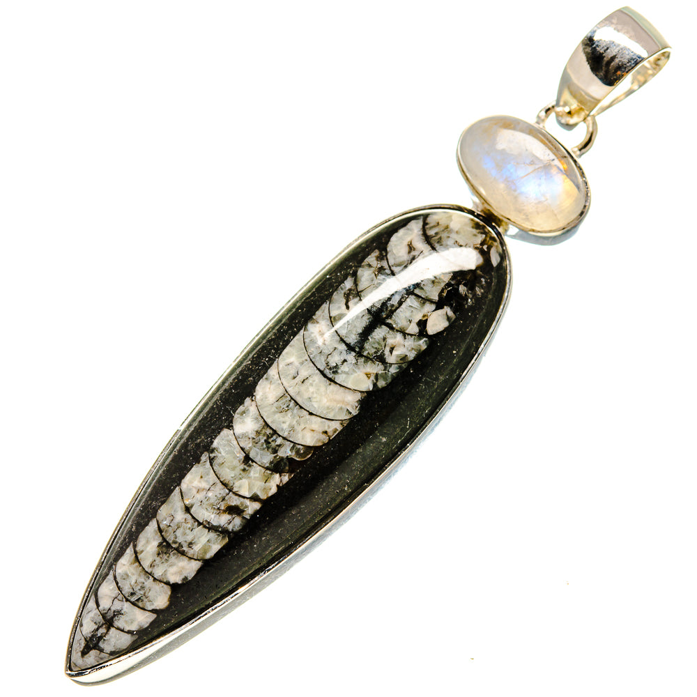 Orthoceras Fossil Pendants handcrafted by Anasilvercos - PD755329