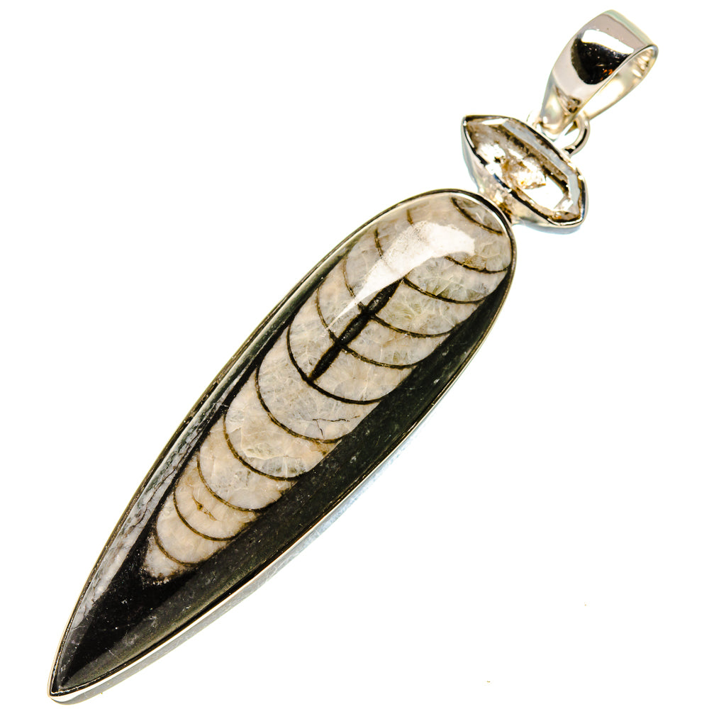 Orthoceras Fossil Pendants handcrafted by Anasilvercos - PD755330