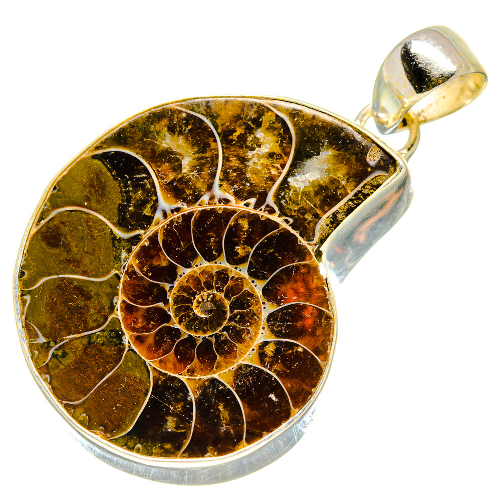 Ammonite Fossil Pendants handcrafted by Anasilvercos - PD755340