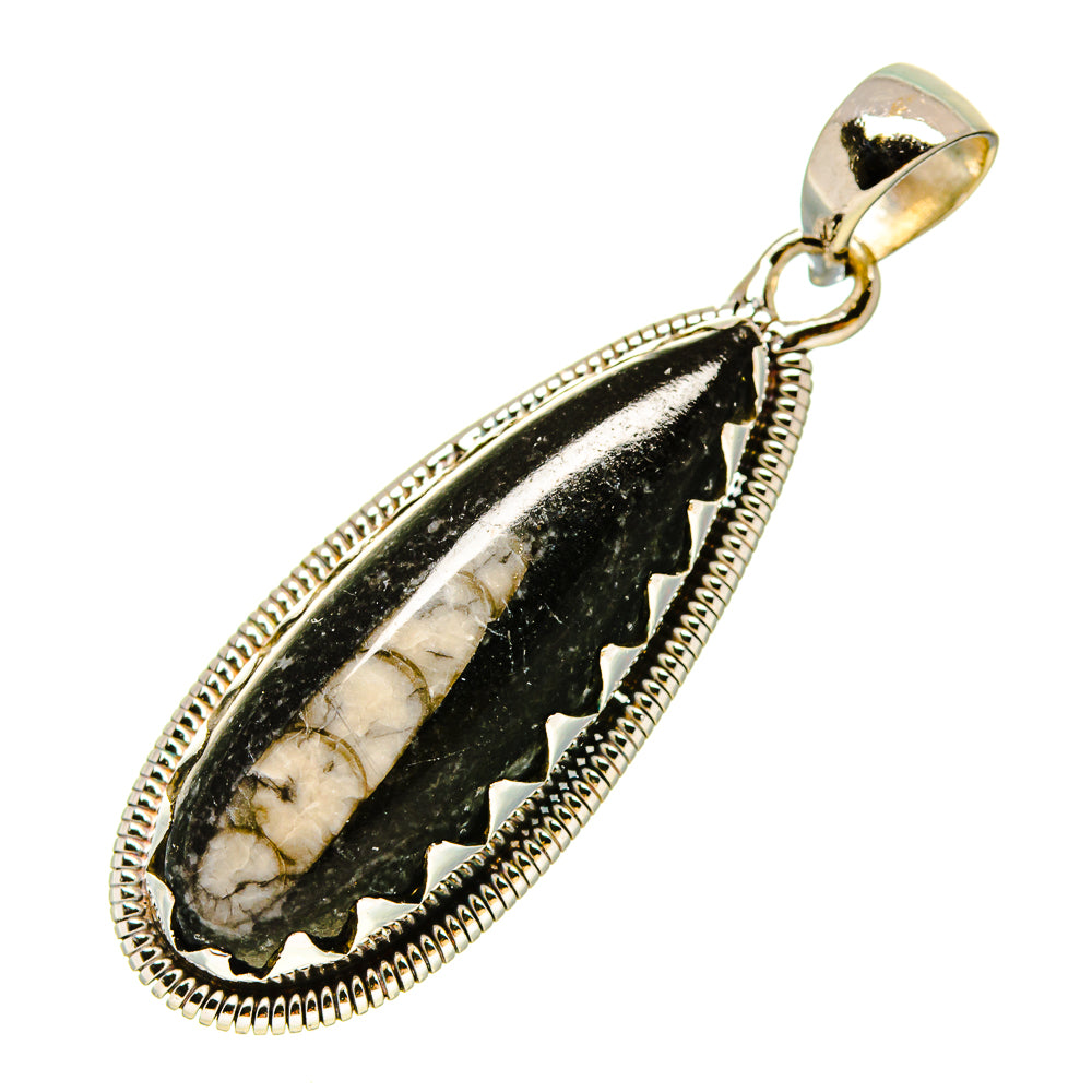 Orthoceras Fossil Pendants handcrafted by Anasilvercos - PD755877