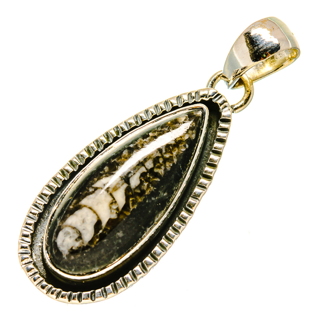 Orthoceras Fossil Pendants handcrafted by Anasilvercos - PD755903