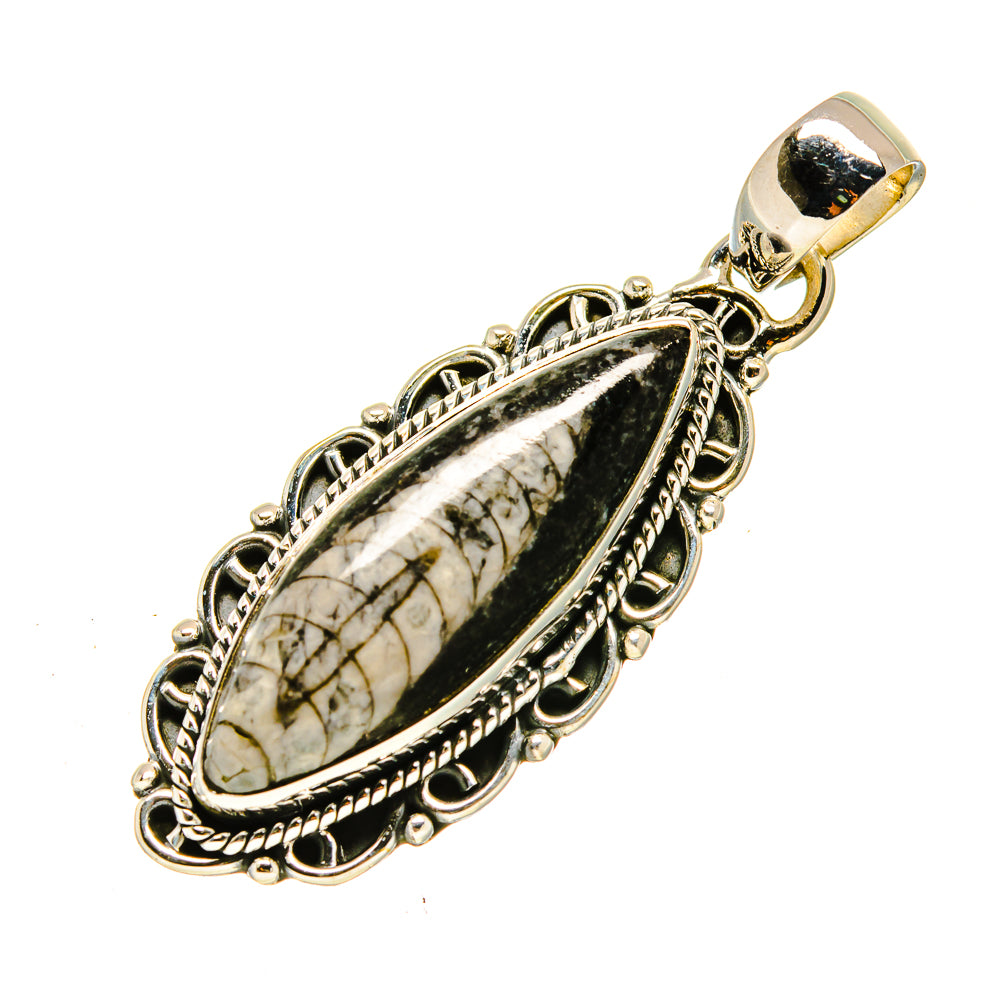 Orthoceras Fossil Pendants handcrafted by Anasilvercos - PD756110