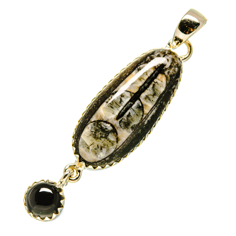 Orthoceras Fossil Pendants handcrafted by Anasilvercos - PD756124