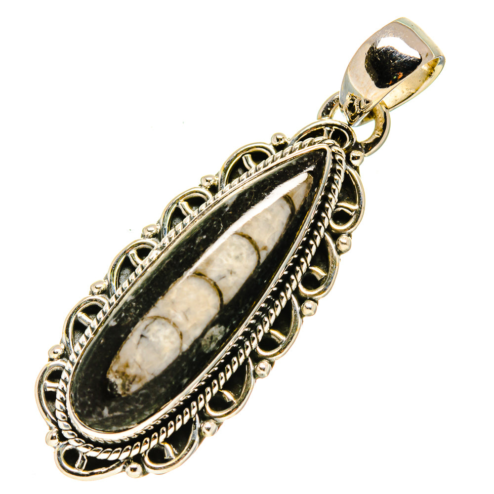 Orthoceras Fossil Pendants handcrafted by Anasilvercos - PD756167