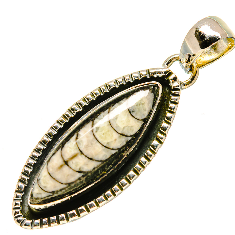 Orthoceras Fossil Pendants handcrafted by Anasilvercos - PD756237