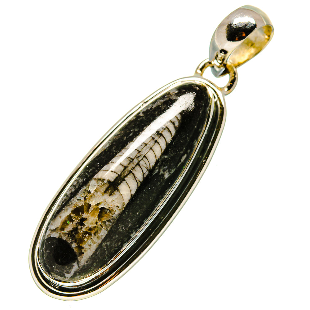 Orthoceras Fossil Pendants handcrafted by Anasilvercos - PD756289