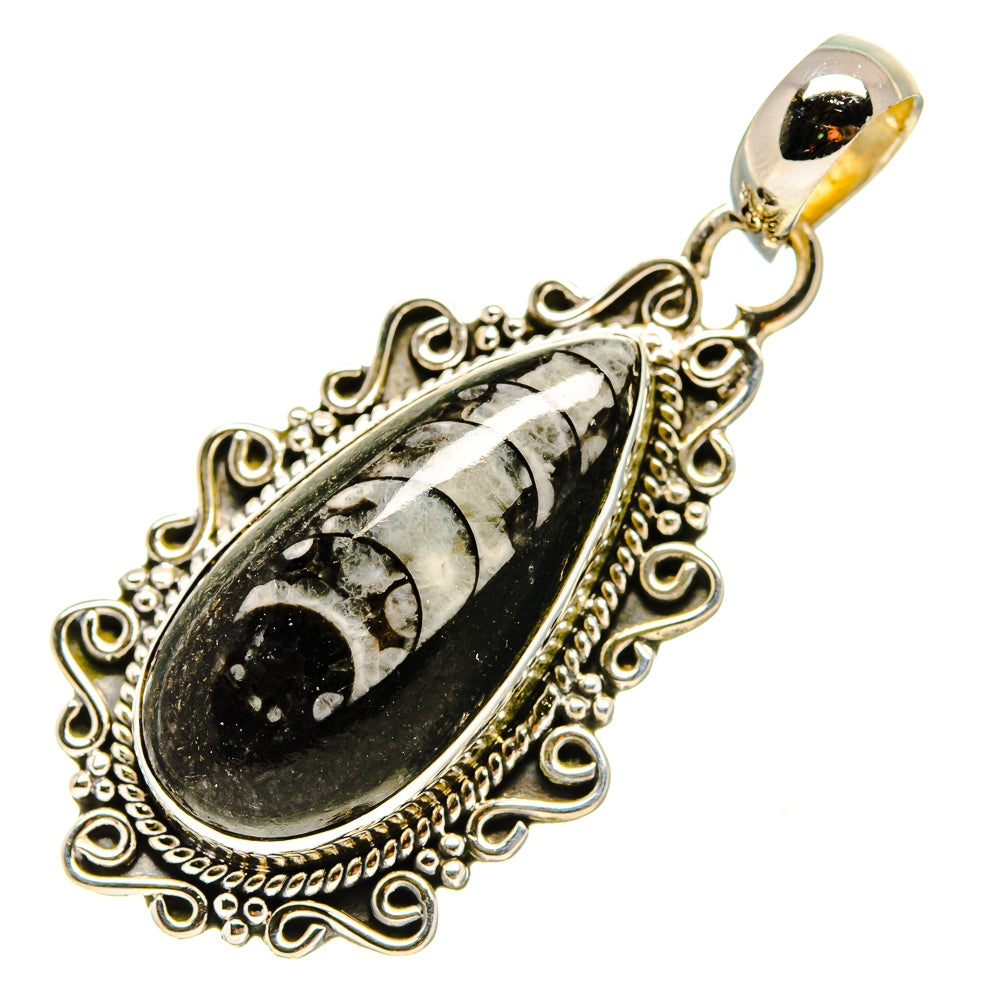 Orthoceras Fossil Pendants handcrafted by Anasilvercos - PD756404