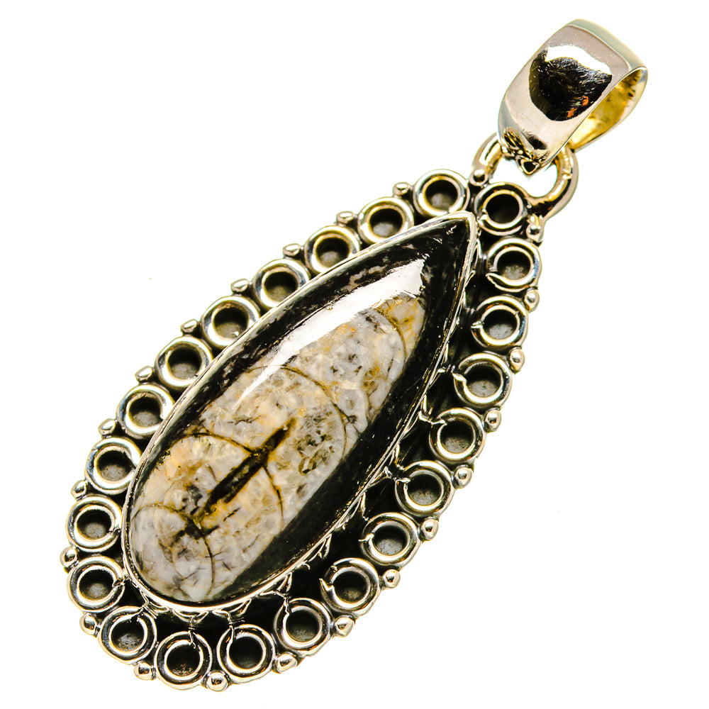 Orthoceras Fossil Pendants handcrafted by Anasilvercos - PD756526