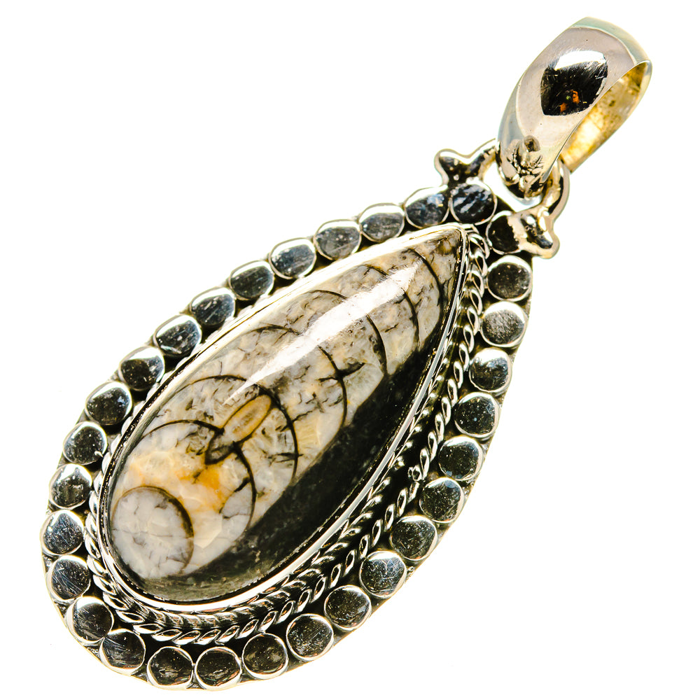 Orthoceras Fossil Pendants handcrafted by Anasilvercos - PD756561