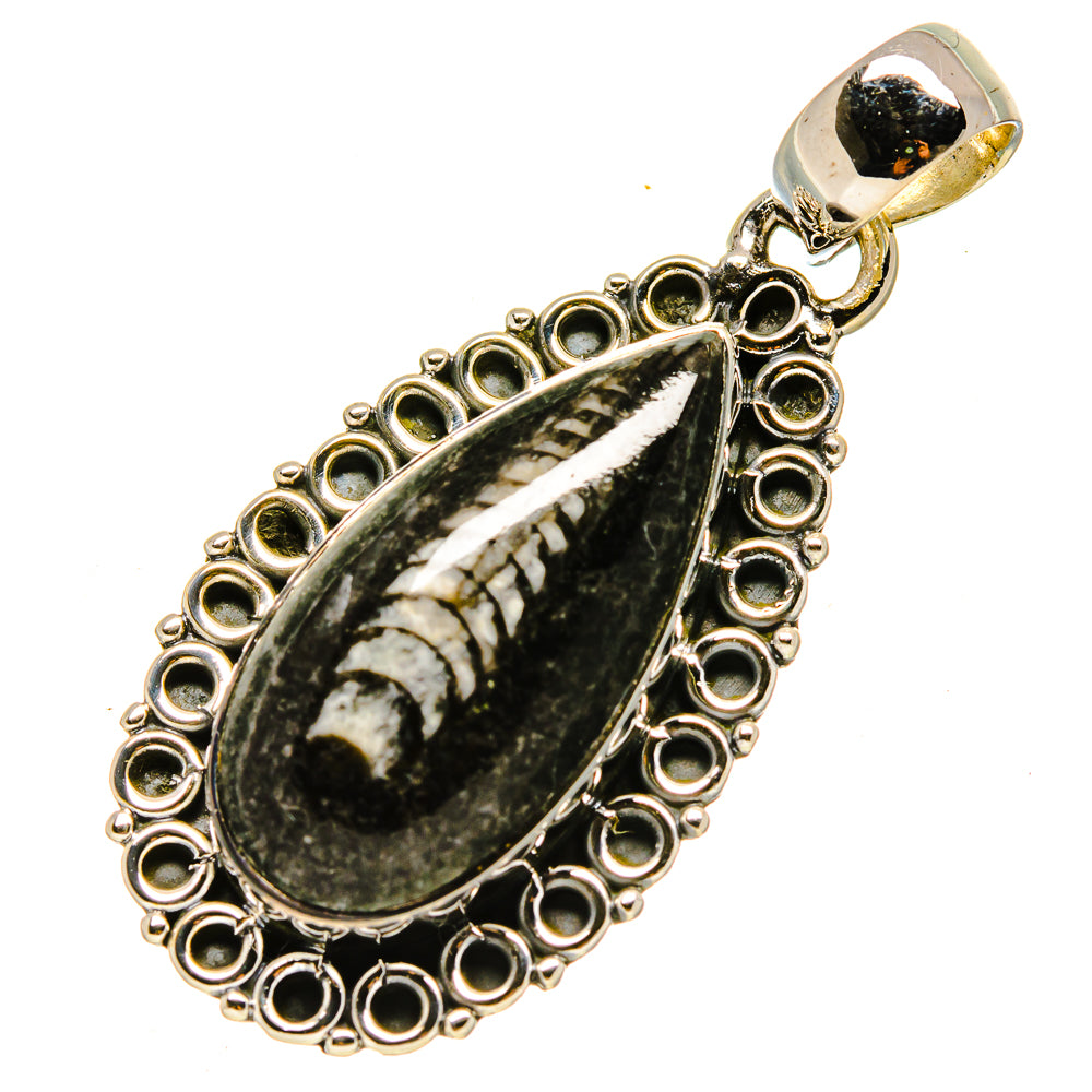Orthoceras Fossil Pendants handcrafted by Anasilvercos - PD756584