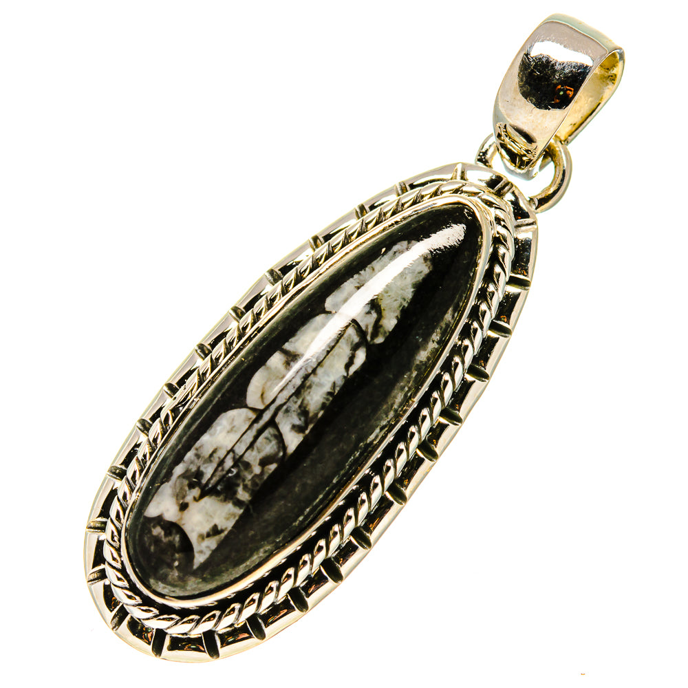 Orthoceras Fossil Pendants handcrafted by Anasilvercos - PD756754