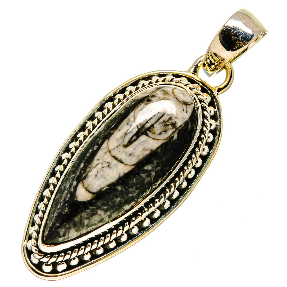 Orthoceras Fossil Pendants handcrafted by Anasilvercos - PD756755