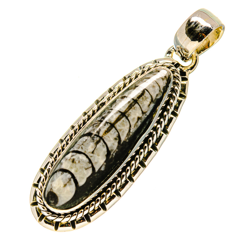 Orthoceras Fossil Pendants handcrafted by Anasilvercos - PD756756