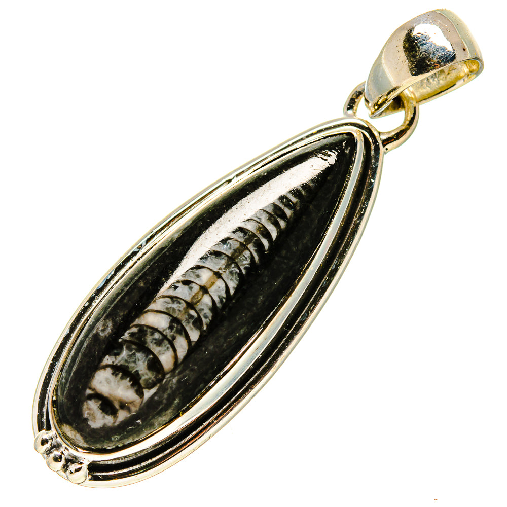 Orthoceras Fossil Pendants handcrafted by Anasilvercos - PD756786