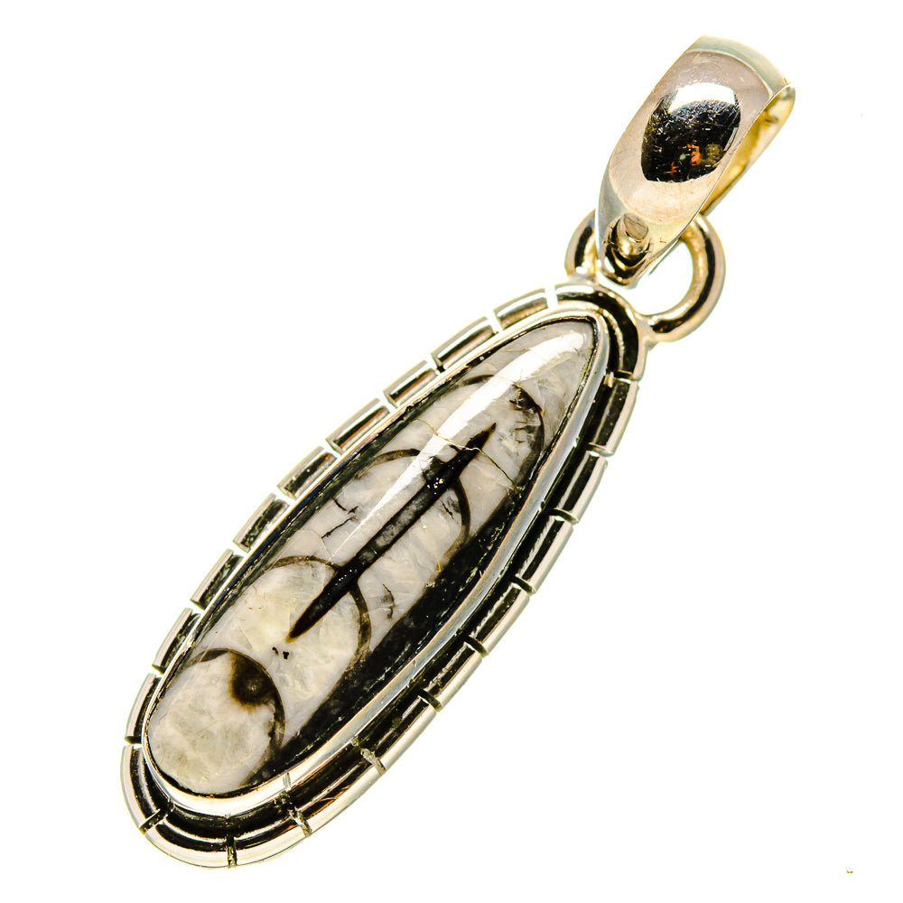 Orthoceras Fossil Pendants handcrafted by Anasilvercos - PD756835