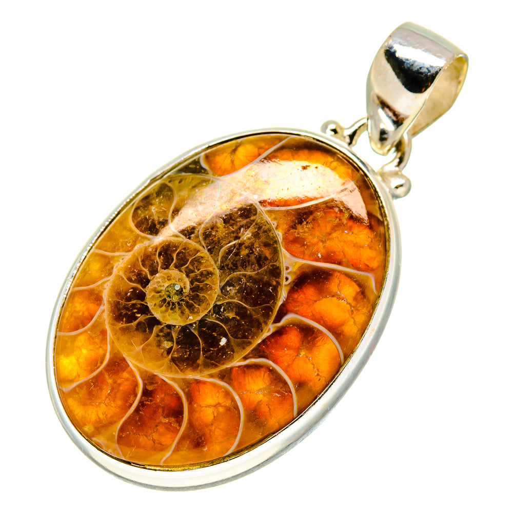 Ammonite Fossil Pendants handcrafted by Anasilvercos - PD757076