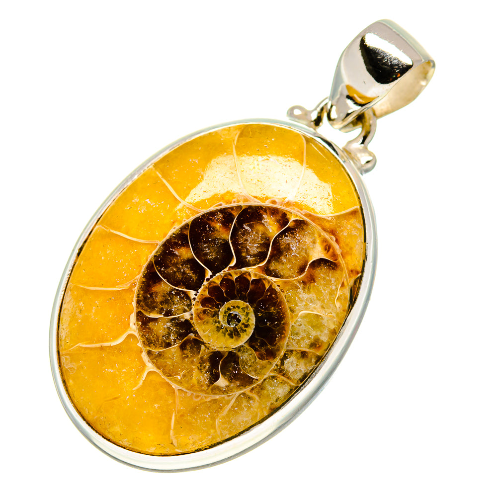Ammonite Fossil Pendants handcrafted by Anasilvercos - PD757523