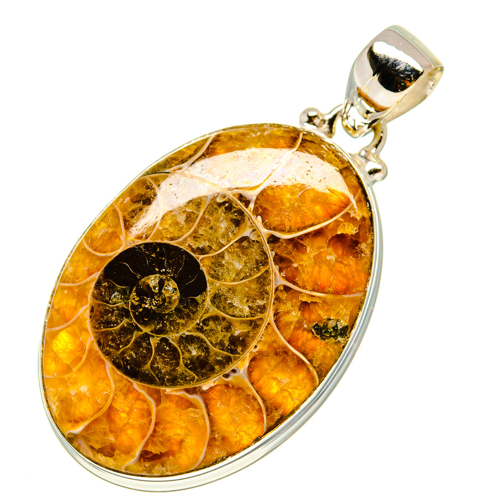 Ammonite Fossil Pendants handcrafted by Anasilvercos - PD757836
