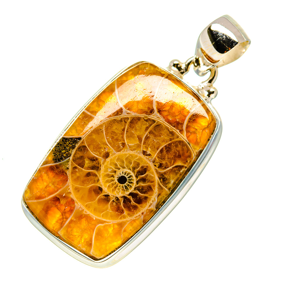 Ammonite Fossil Pendants handcrafted by Anasilvercos - PD758191