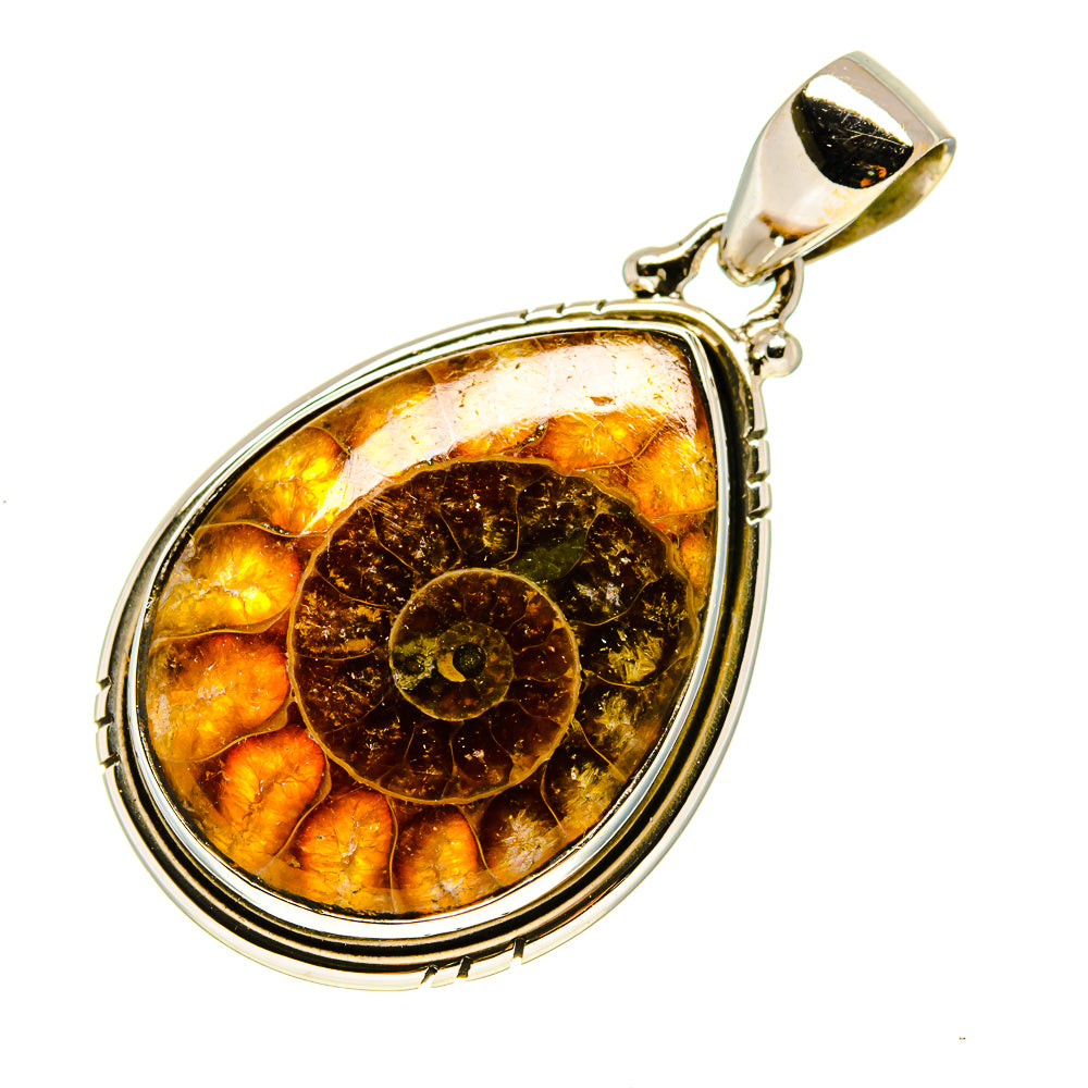 Ammonite Fossil Pendants handcrafted by Anasilvercos - PD758192