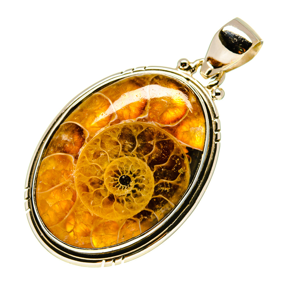 Ammonite Fossil Pendants handcrafted by Anasilvercos - PD758193
