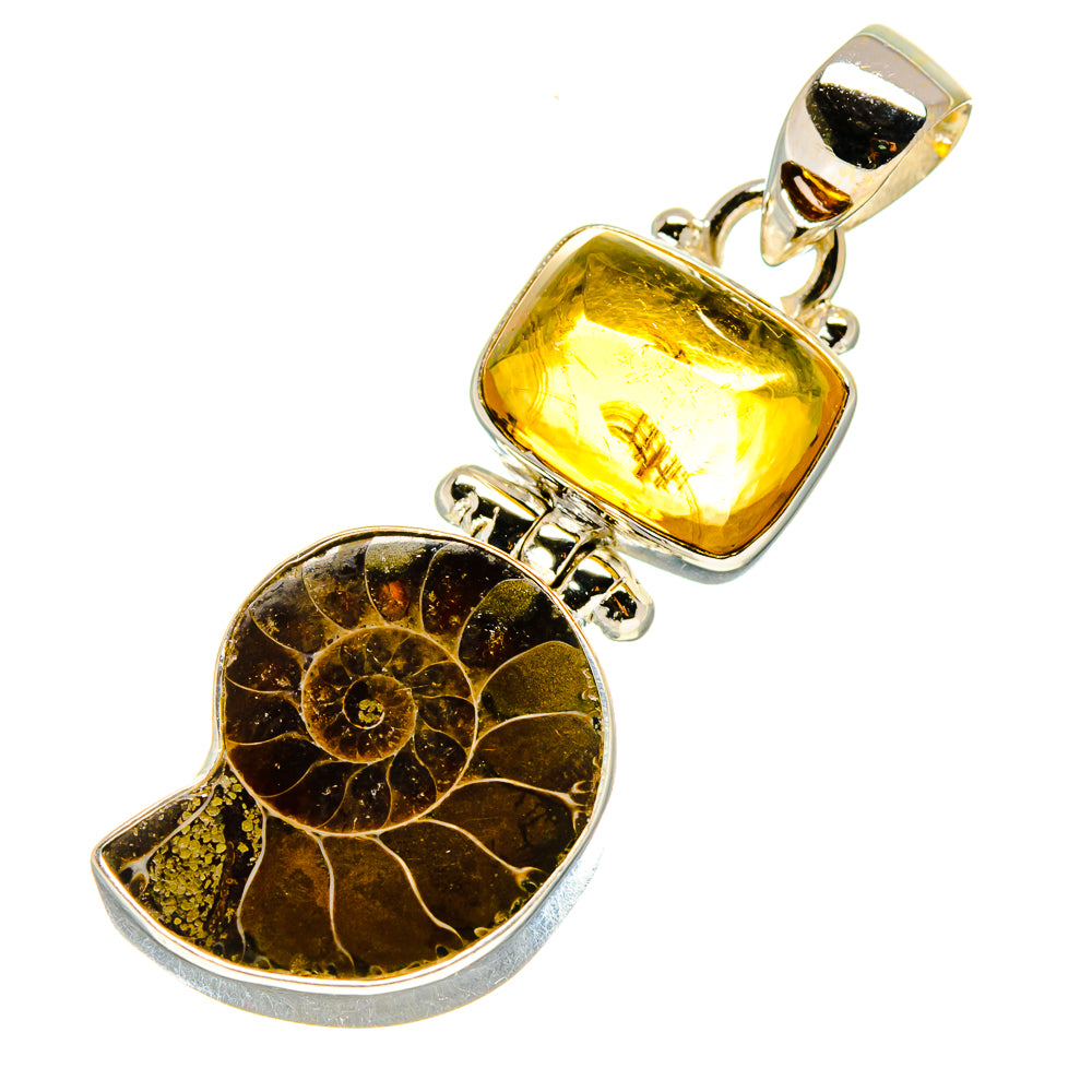 Ammonite Fossil Pendants handcrafted by Anasilvercos - PD758341