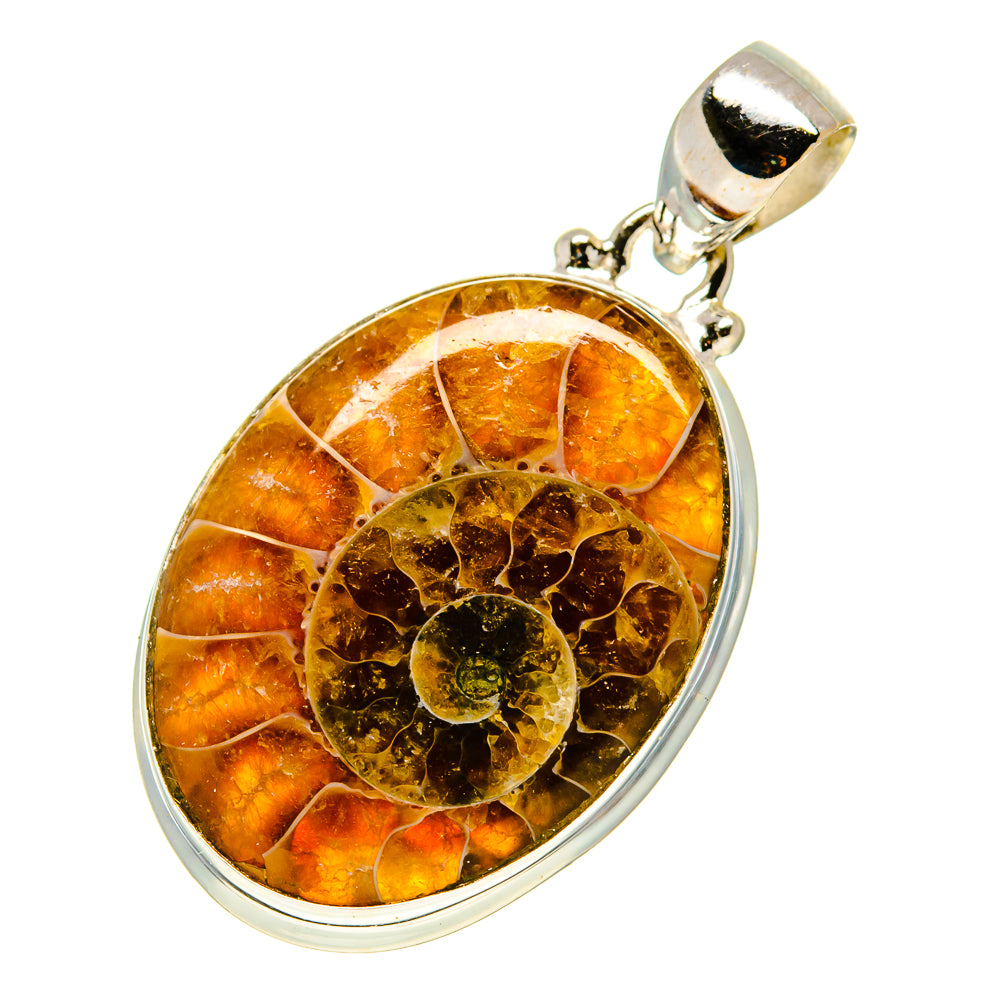 Ammonite Fossil Pendants handcrafted by Anasilvercos - PD758679