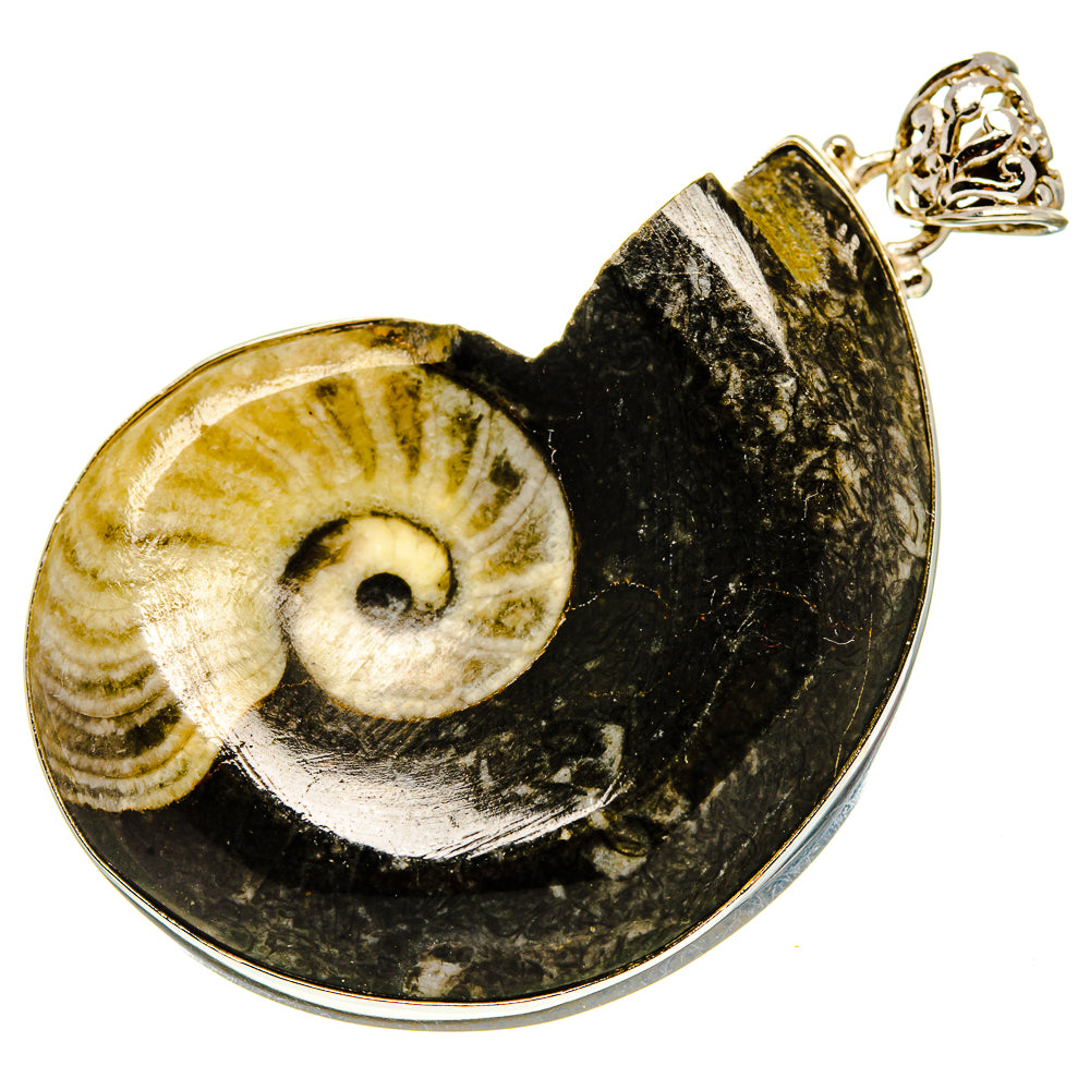 Orthoceras Fossil Pendants handcrafted by Anasilvercos - PD759255