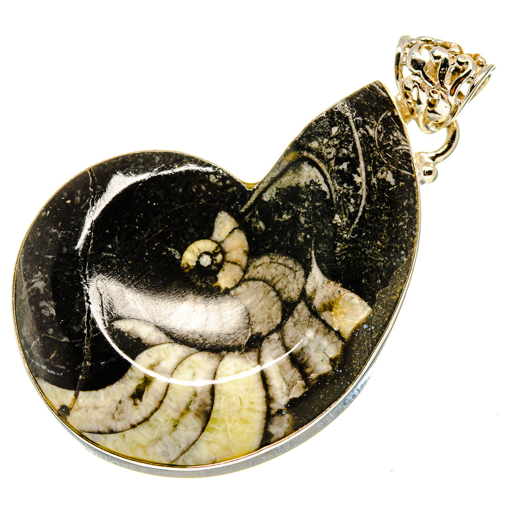 Orthoceras Fossil Pendants handcrafted by Anasilvercos - PD759256