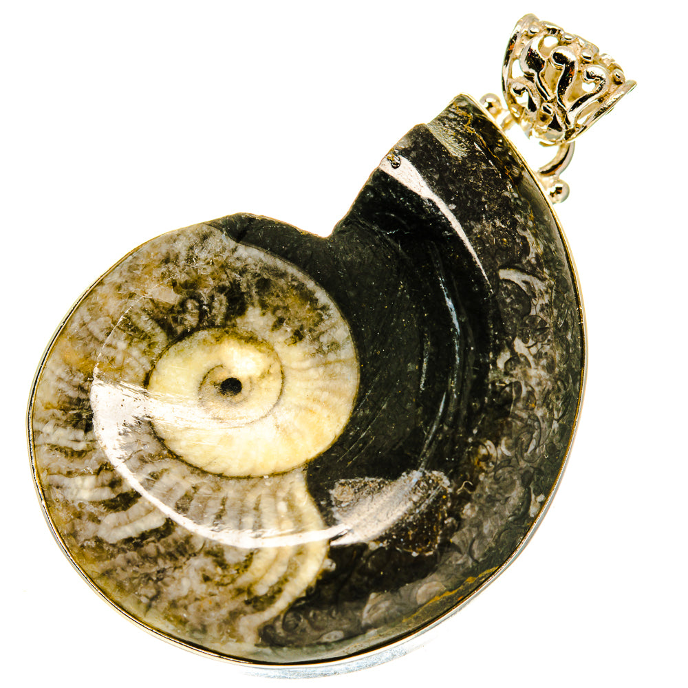 Orthoceras Fossil Pendants handcrafted by Anasilvercos - PD760536
