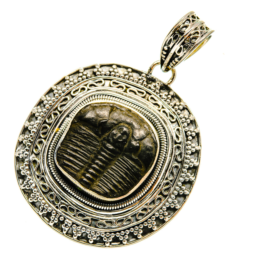 Trilobite Pendants handcrafted by Anasilvercos - PD8191