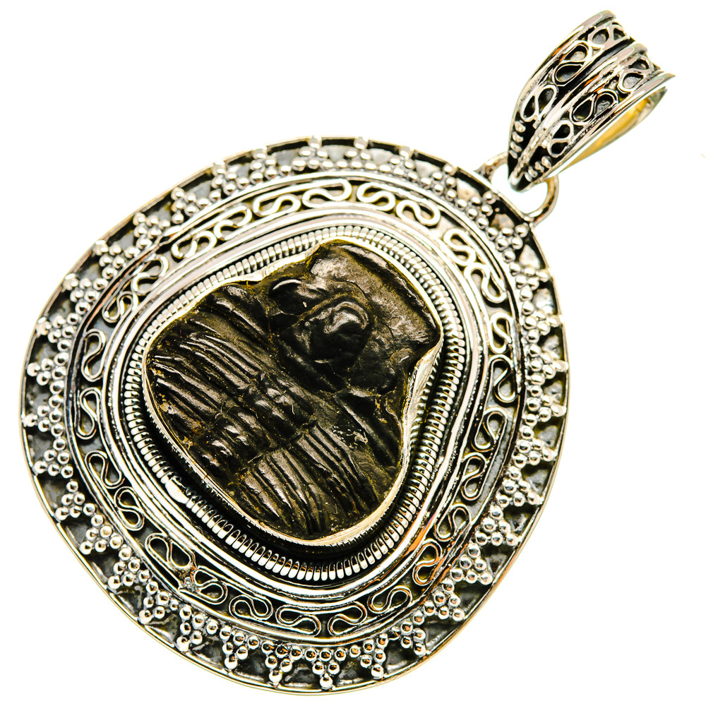 Trilobite Pendants handcrafted by Anasilvercos - PD8274