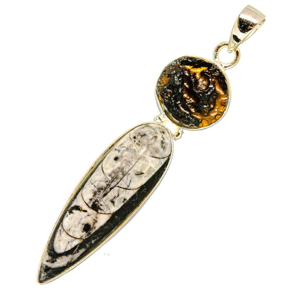 Orthoceras Fossil Pendants handcrafted by Anasilvercos - PD8525