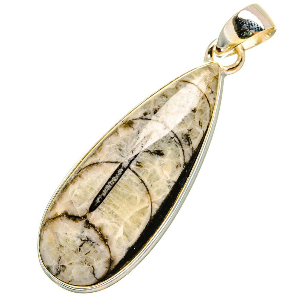 Orthoceras Fossil Pendants handcrafted by Anasilvercos - PD8722