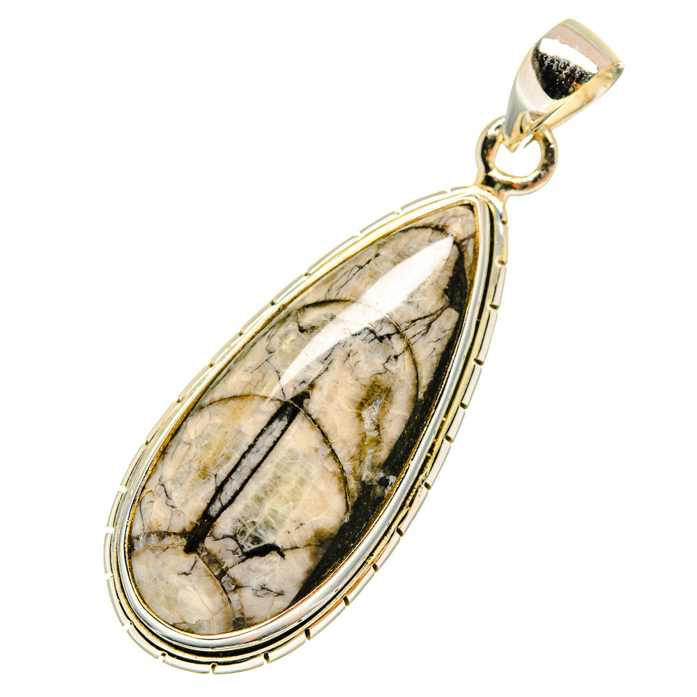 Orthoceras Fossil Pendants handcrafted by Anasilvercos - PD8737