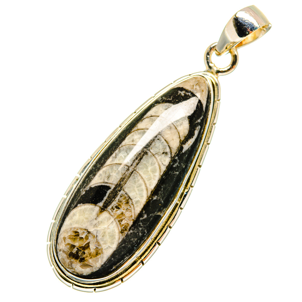 Orthoceras Fossil Pendants handcrafted by Anasilvercos - PD8759