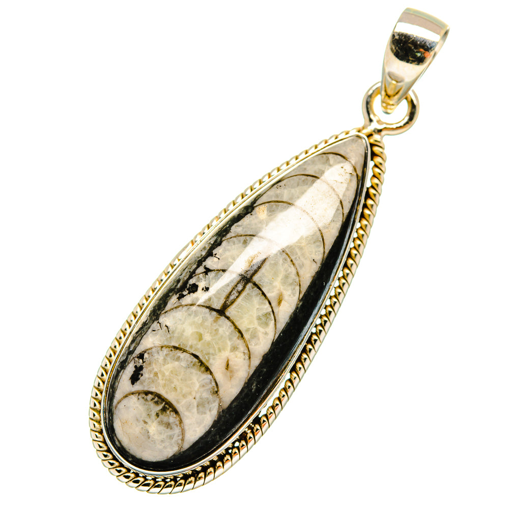 Orthoceras Fossil Pendants handcrafted by Anasilvercos - PD8760