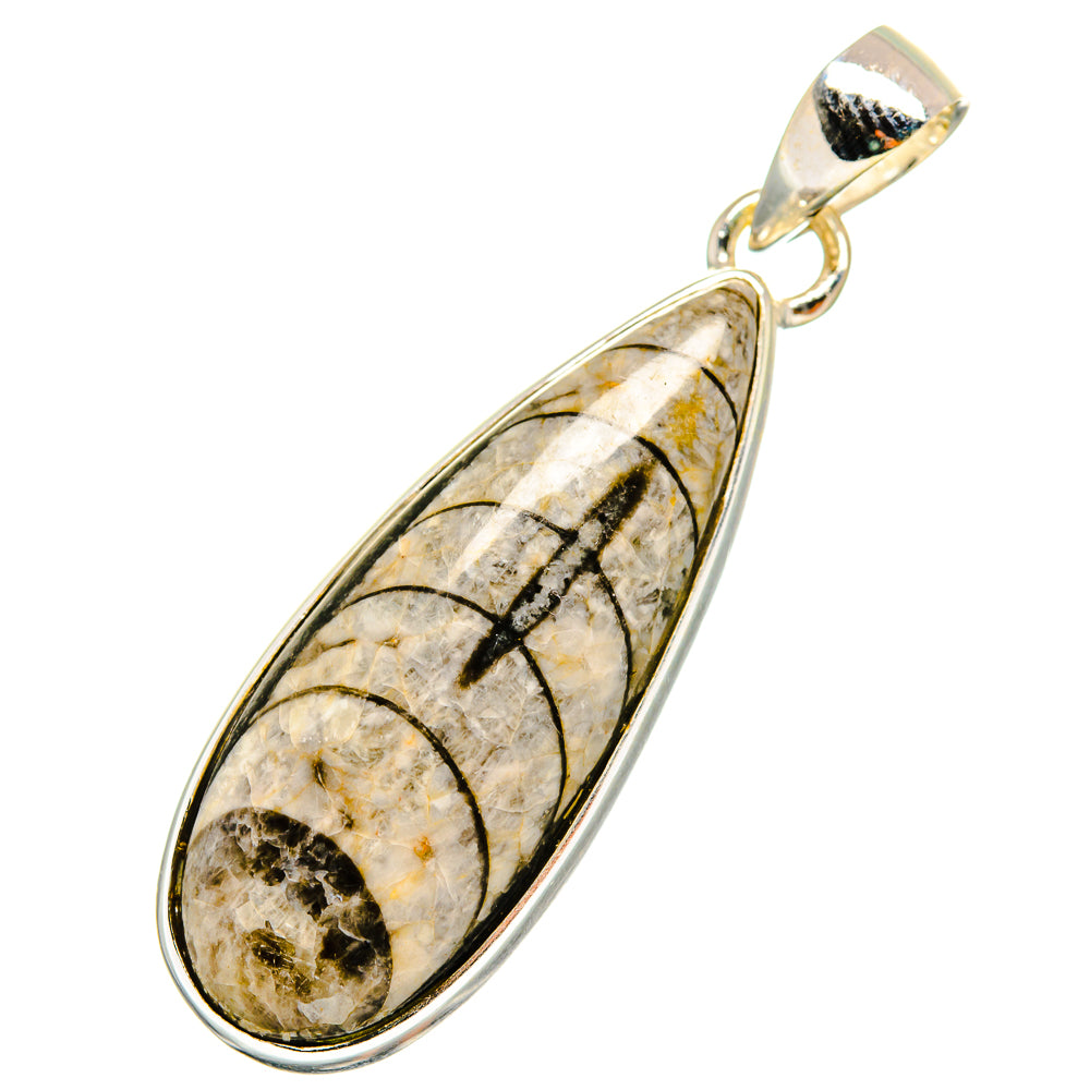 Orthoceras Fossil Pendants handcrafted by Anasilvercos - PD8804