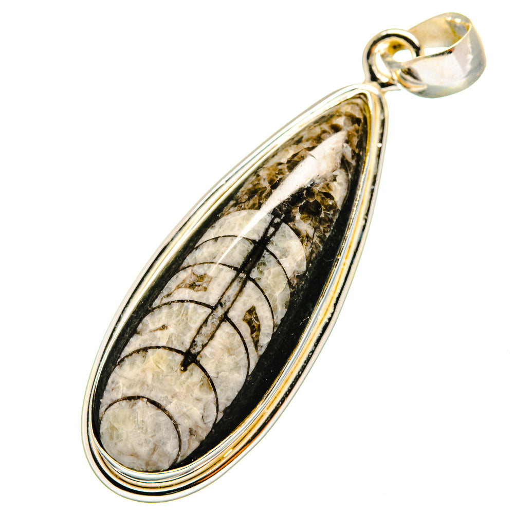 Orthoceras Fossil Pendants handcrafted by Anasilvercos - PD8805