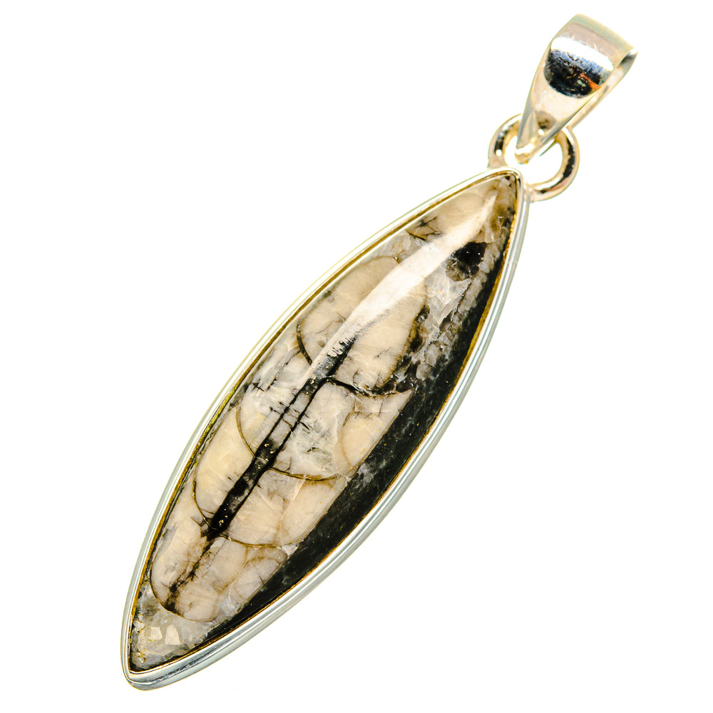 Orthoceras Fossil Pendants handcrafted by Anasilvercos - PD8936