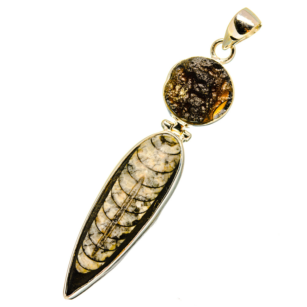 Orthoceras Fossil Pendants handcrafted by Anasilvercos - PD8937
