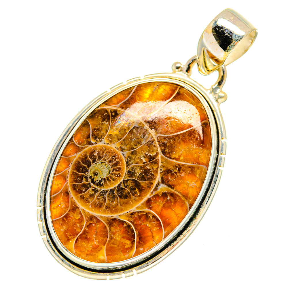 Ammonite Fossil Pendants handcrafted by Anasilvercos - PD9117