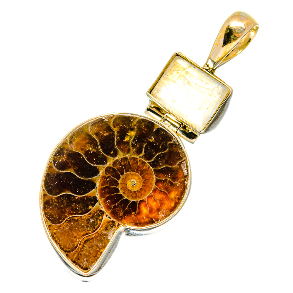 Ammonite Fossil Pendants handcrafted by Anasilvercos - PD9118