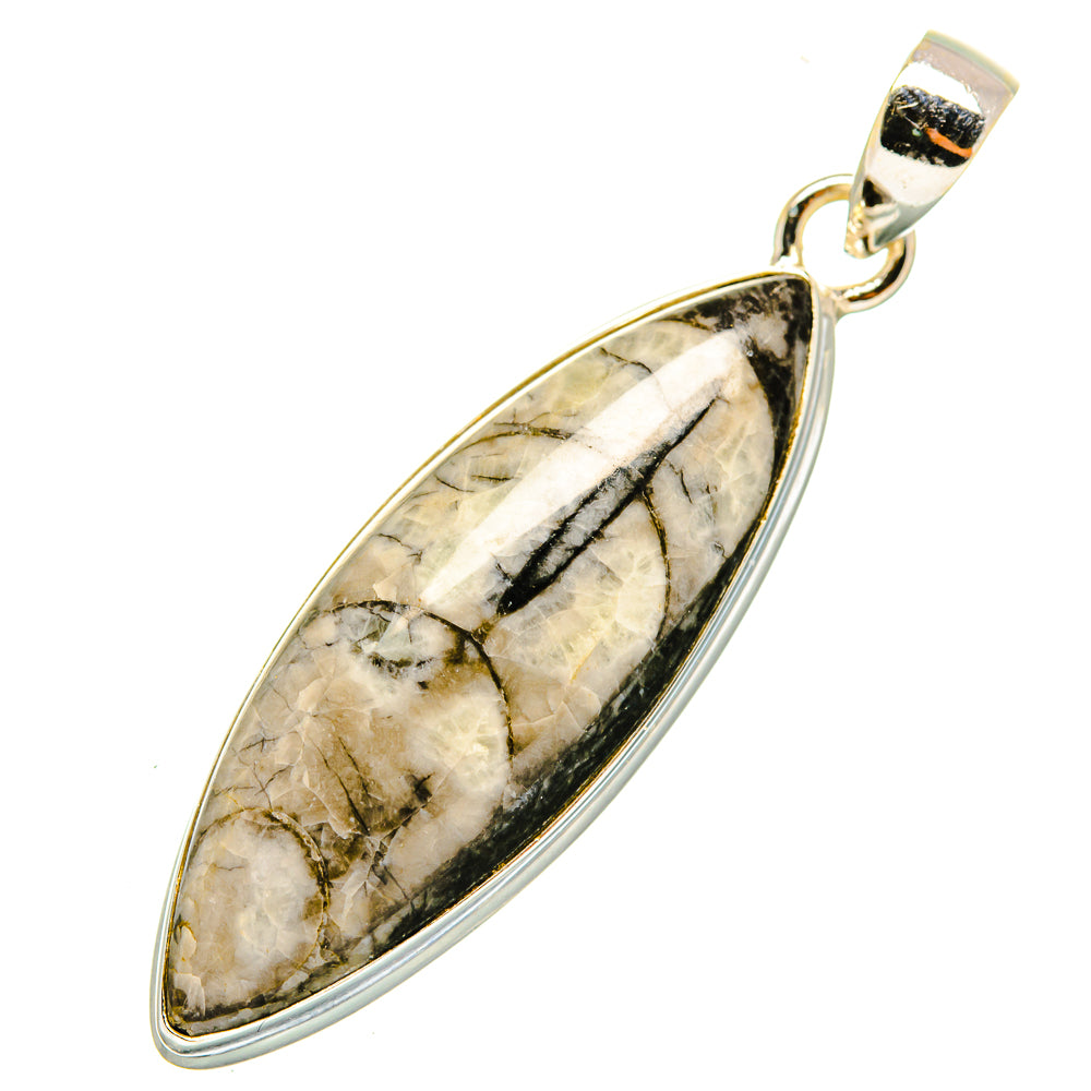 Orthoceras Fossil Pendants handcrafted by Anasilvercos - PD9299