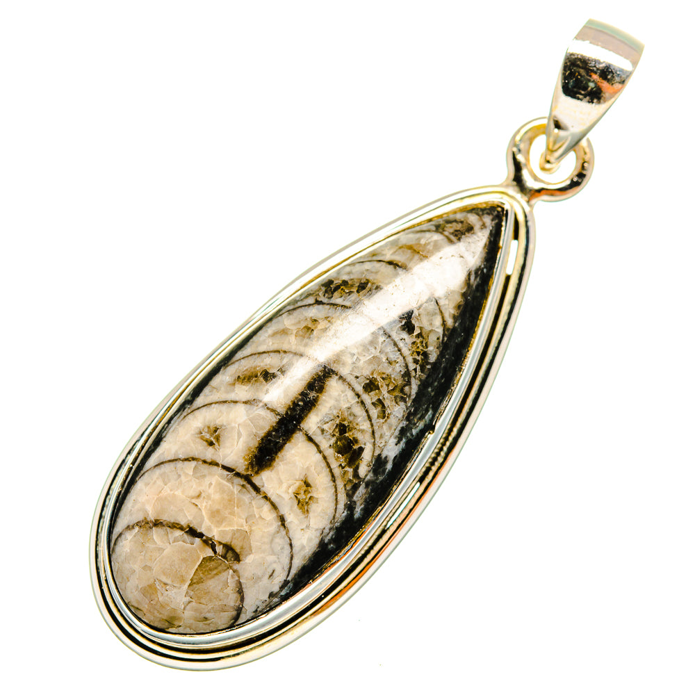 Orthoceras Fossil Pendants handcrafted by Anasilvercos - PD9576